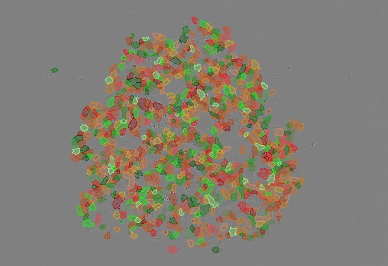 Dynamic Content Image